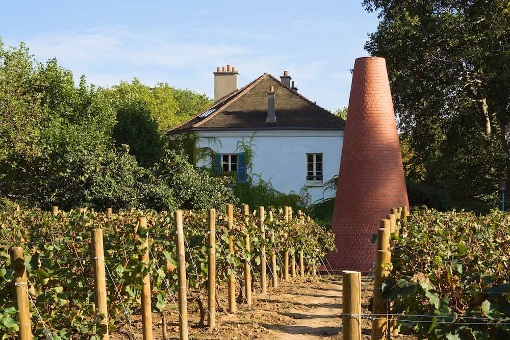 Vineyard at the house of gardening in Bercy area - Paris, France