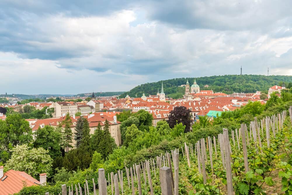 View of Vineyards in Prague of Czech Republic.