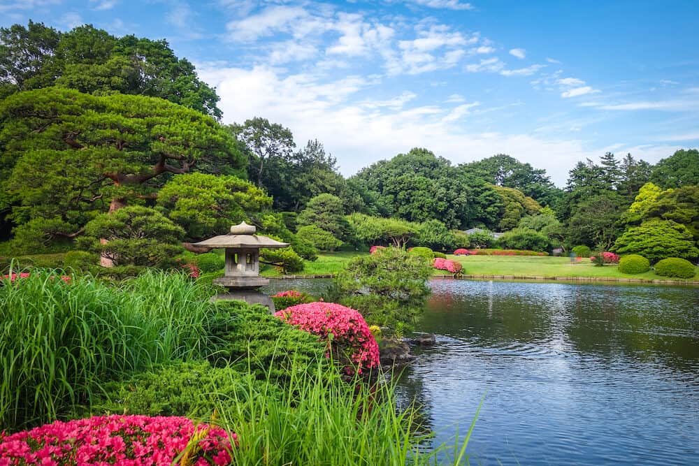 Shinjuku Gyoen national garden in Tokyo, Japan