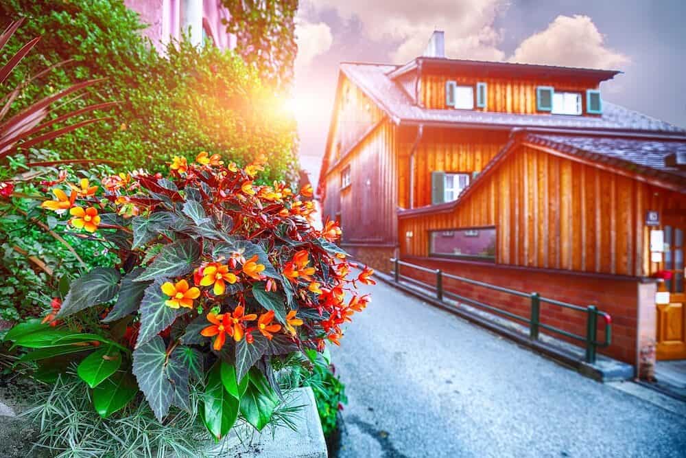 Scenic view of famous Hallstatt mountain village with Hallstatter lake.Typical Austrian Alpine houses with bright flowers. Location: resort village Hallstatt, Salzkammergut region, Austria, Alps. Europe.