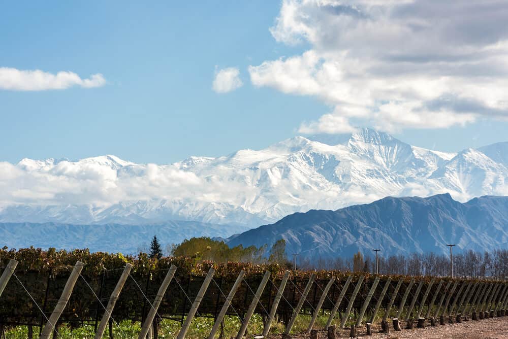 Early morning in the late autumn: Volcano Aconcagua Cordillera and Vineyard. Andes mountain range in the Argentine province of Mendoza
