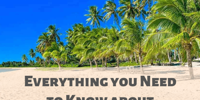 Everything you Need to Know about Samoa