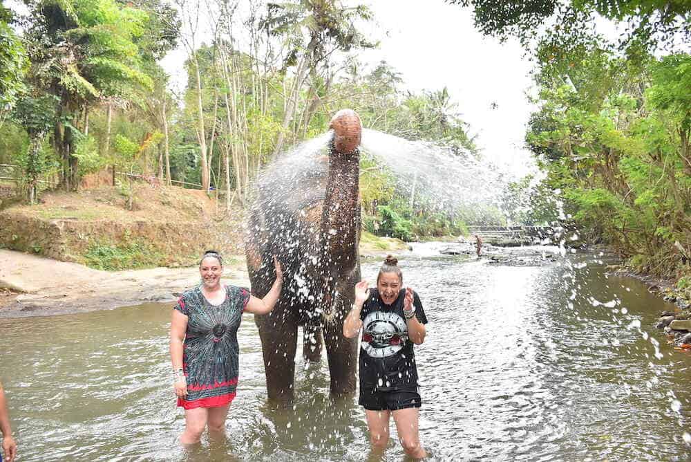 Mud Bath with the Elephants