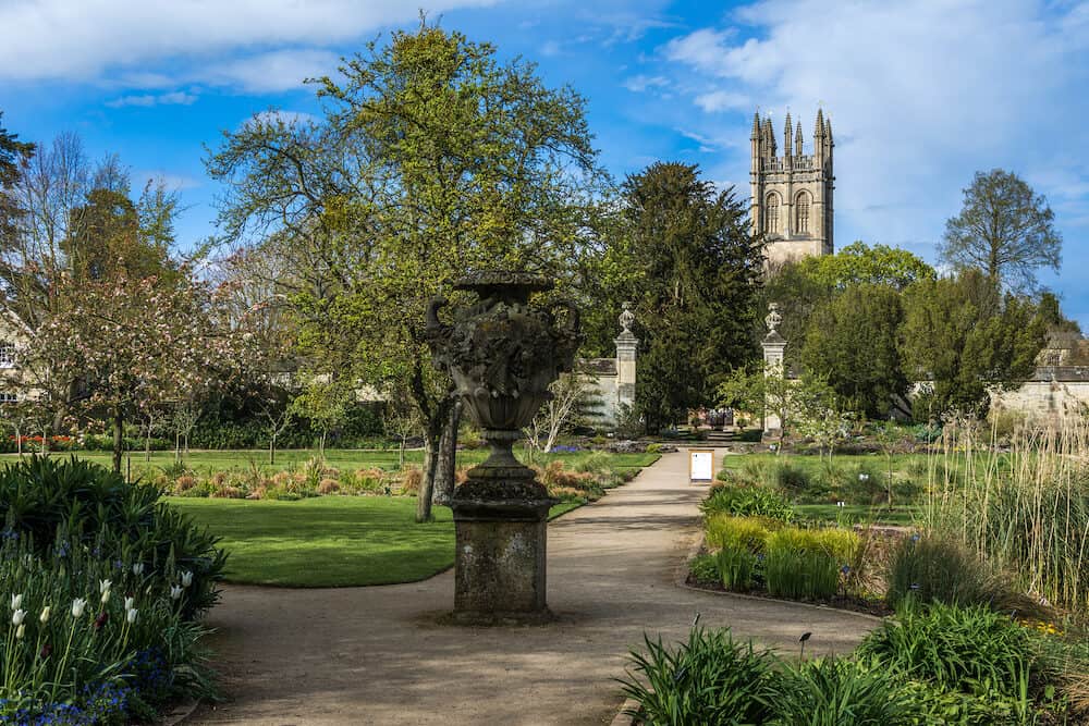 Oxford UK - Pond and plantation at University of Oxford Botanic gardens