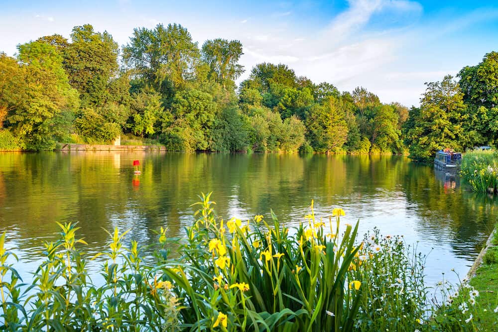 River Thames near Iffley Lock. Oxford Oxfordshire England UK