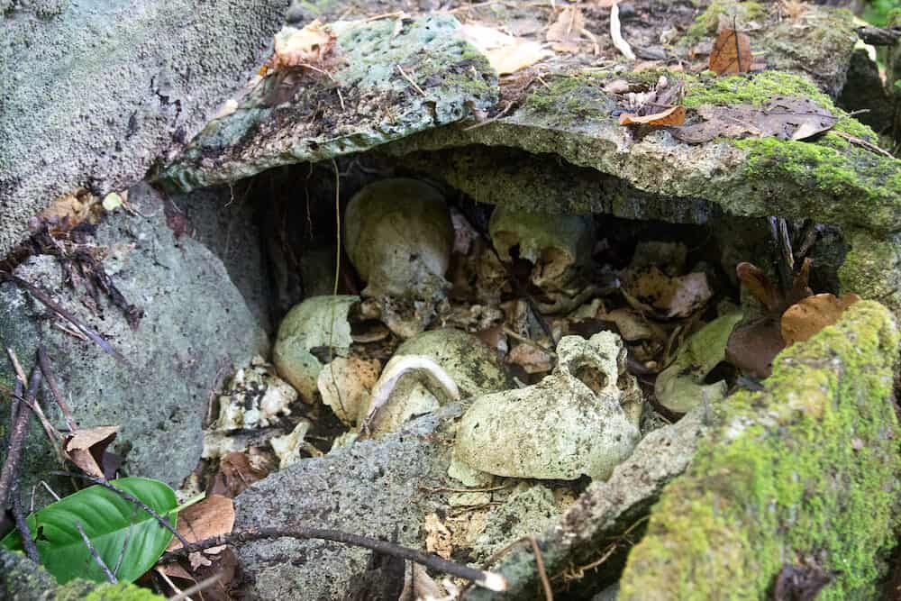 Skulls inside a stone shrine at a local village in the Marovo Lagoon on Solomon Islands