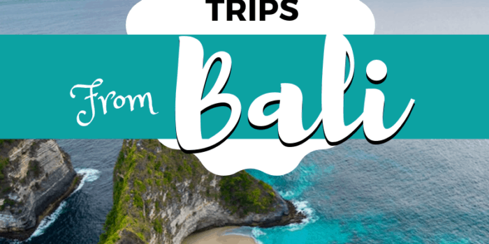 Best Day trips from Bali