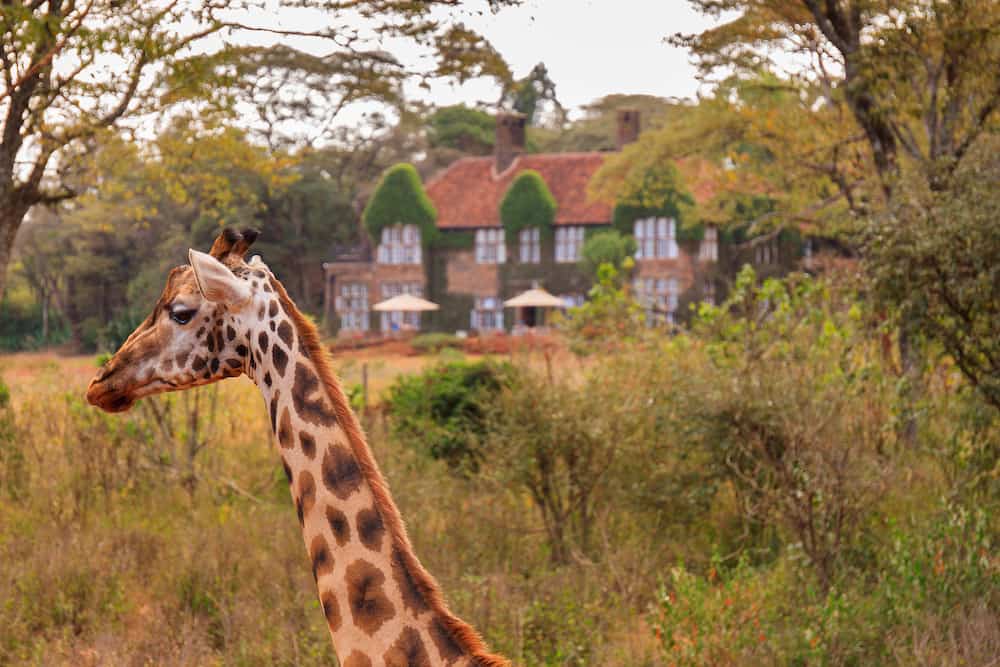 5 Most Unusual Things to Do in Kenya