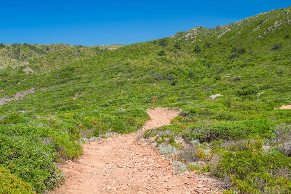 Unsurfaced walkway among green hills with runt plantsin summer sunny day at Menorca island; Balearic islands; Spain.