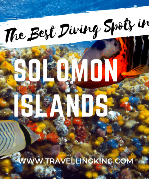 The Best Diving Spots in the Solomon Islands