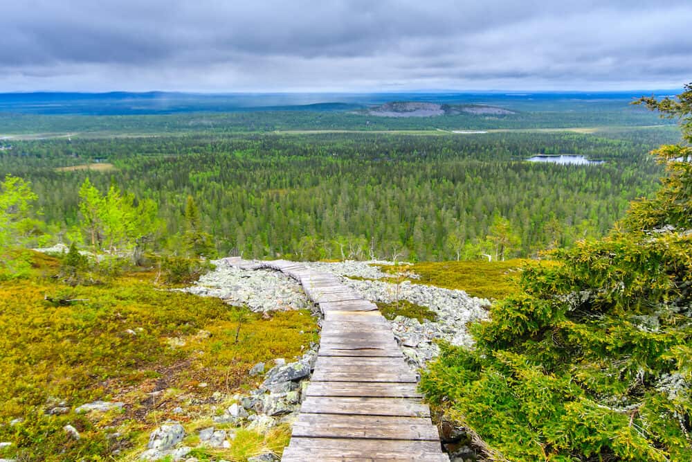 Landscape from the summit of Ukko-Luosto Fell in Pyha-Luosto National Park Lapland Finland