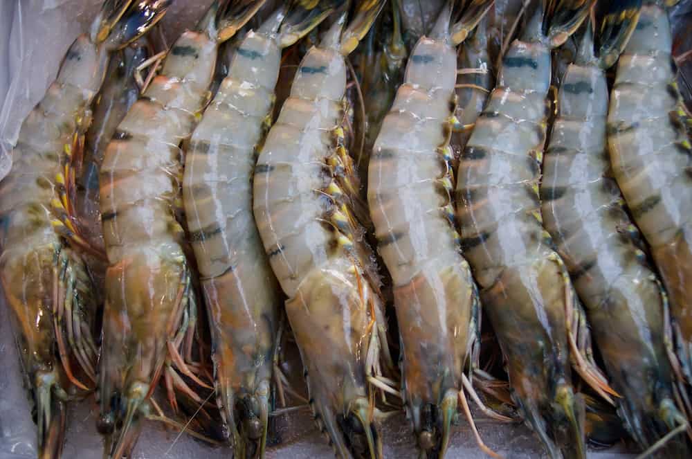A box of market fresh raw jumbo tiger prawns at St George's market Belfast