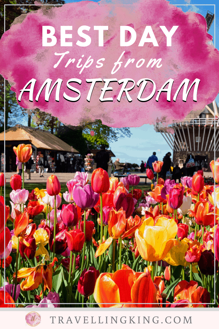 Best Day trips from Amsterdam