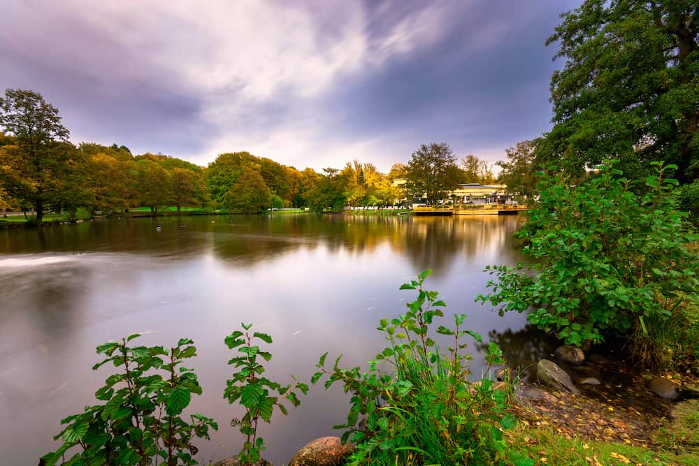 Lake covered with colorful trees in slottsskogen gothenburg,Sweden
