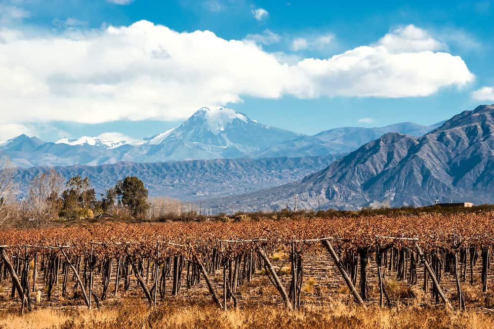 Volcano Aconcagua and Vineyard. Aconcagua is the highest mountain in the Americas at 6962 m (22841 ft). It is located in the Andes mountain range in the Argentine province of Mendoza