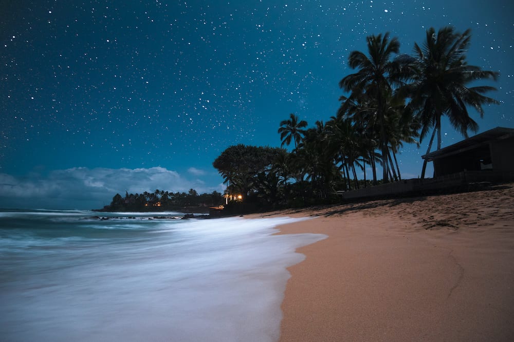 Beautiful Tropical Island Paradise Scenic View with Starry Night Sky with Palm Tree Silhouette with Tranquil Colorful Blue Ocean Water Coming on Sandy Beach in Maui Hawaii
