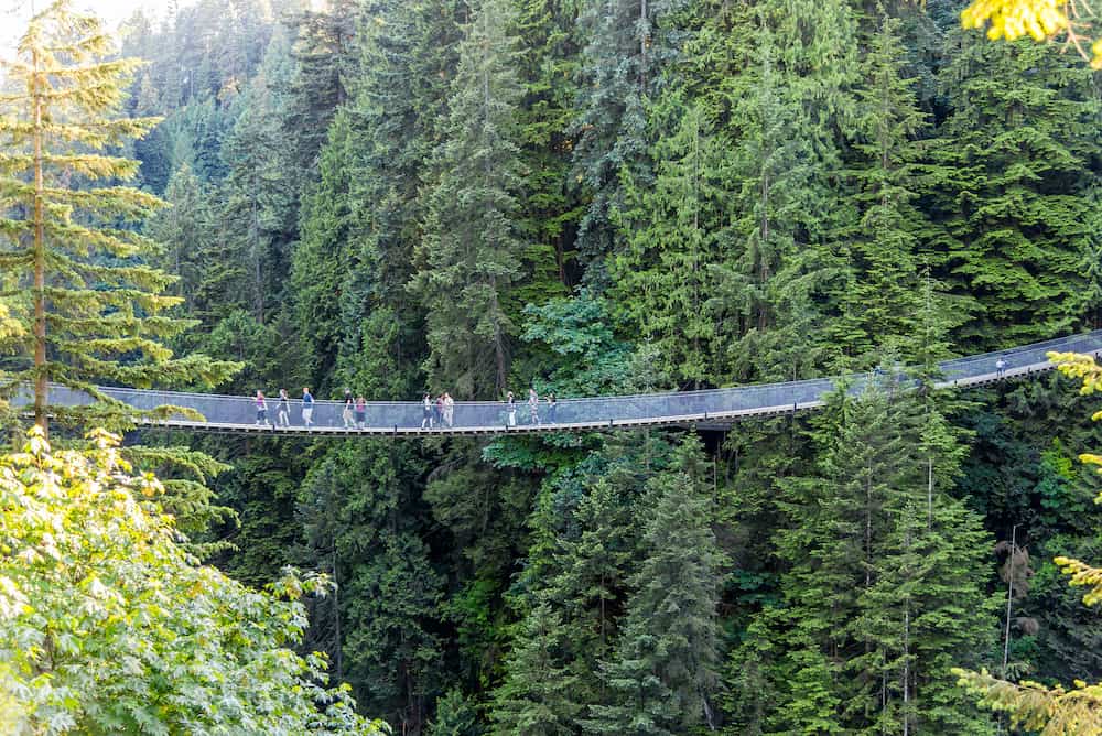 Grouse Mountain, Vancouver / Canada - People walking across Capilano Suspension Bridge amongst trees in Canada