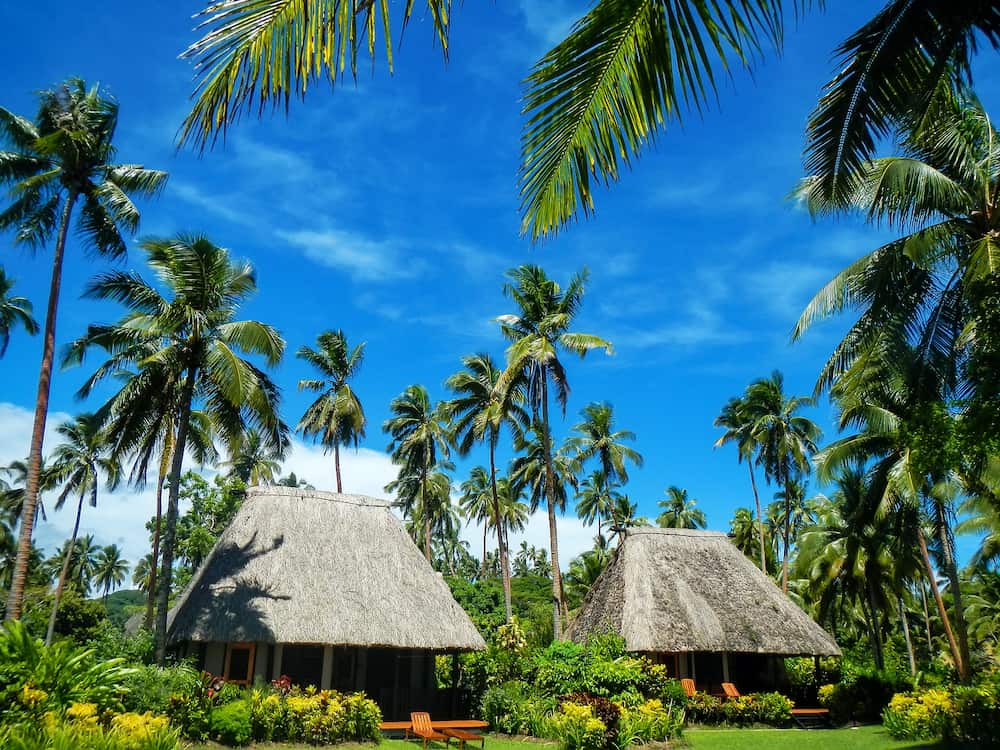 Traditional houses with thatched roof on Vanua Levu Island Fiji. Vanua Levu is the second largest island of Fiji.