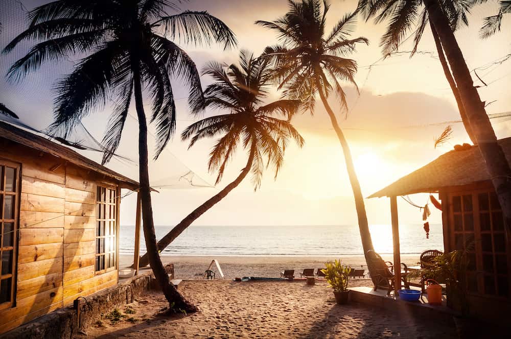 Wooden cottage with sea view in tropical resort with curved coconut palm trees and sunbed on the beach at beautiful sunset