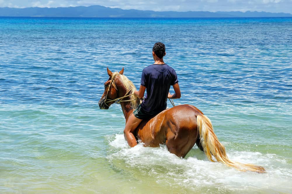 Young man riding horse on the beach on Taveuni Island Fiji. Taveuni is the third largest island in Fiji.