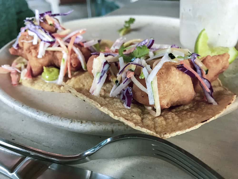 Fresh fried fish tacos on a plate in Tulum, Quintana Roo, Mexico