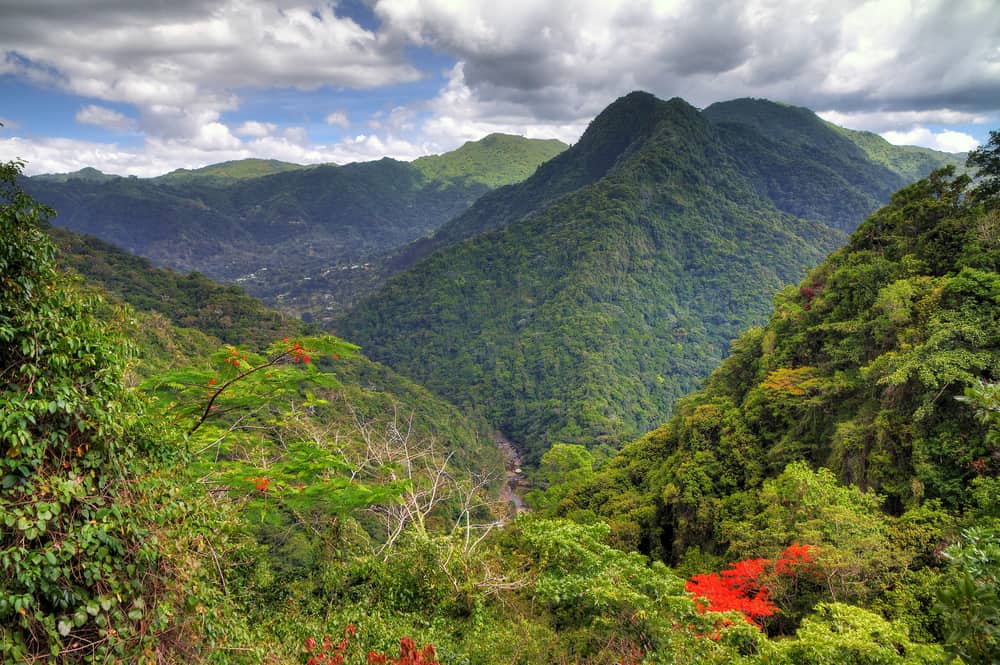 Beautiful,View,Over,The,El,Yunque,National,Forest,In,Puerto