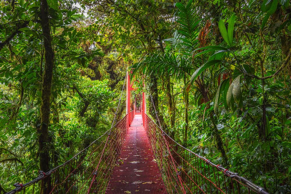 Red suspension bridge in Monteverde Cloud Forest, Costa Rica