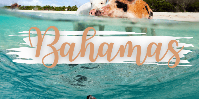 50 Things to do in The Bahamas