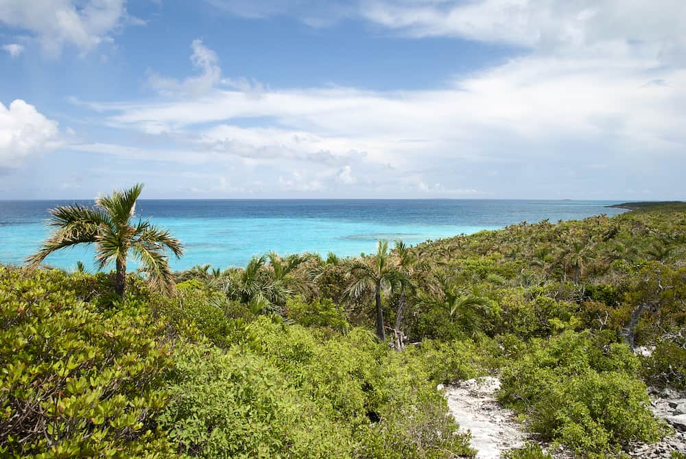 The view from the highest point of a lush landscape on uninhabited island Half Moon Cay (Bahamas).