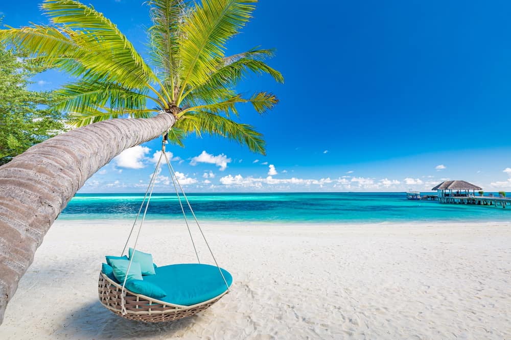 Tropical beach paradise as summer landscape with beach swing or hammock and white sand, calm sea for serene beach. Luxury beach scene vacation summer holiday. Exotic island nature travel destination