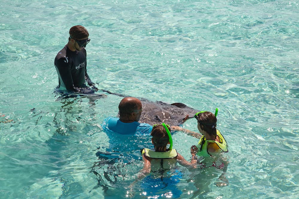 GEORGE TOWN - Unidentified people visiting Stingray city on Gran Cayman in George town, Cayman islands. Stigray city is famous snokerling spot visited on cruise.