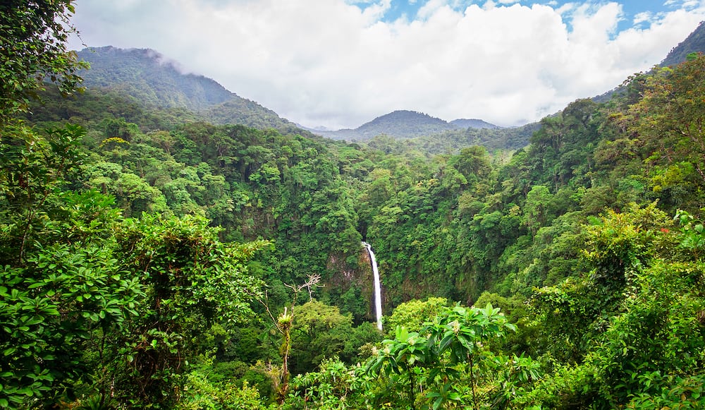 The La Fortuna Waterfall (Catarata La Fortuna) flows through a very dense jungle and plummets over a large rocky cliff near the town of La Fortuna and near Volcan Arenal, Costa Rica.