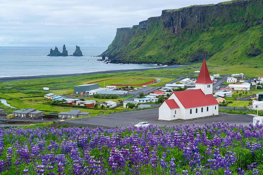 Beautiful aerial view of red Reyniskirkja church on the mountain and Nootka Lupine flower field at Vik, Iceland.