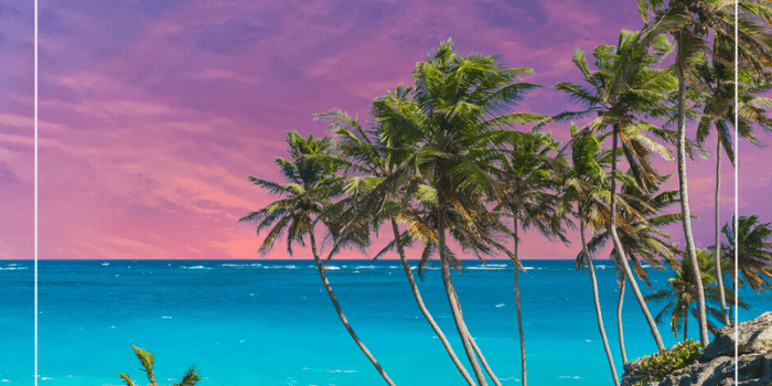 25 Things to do in Barbados