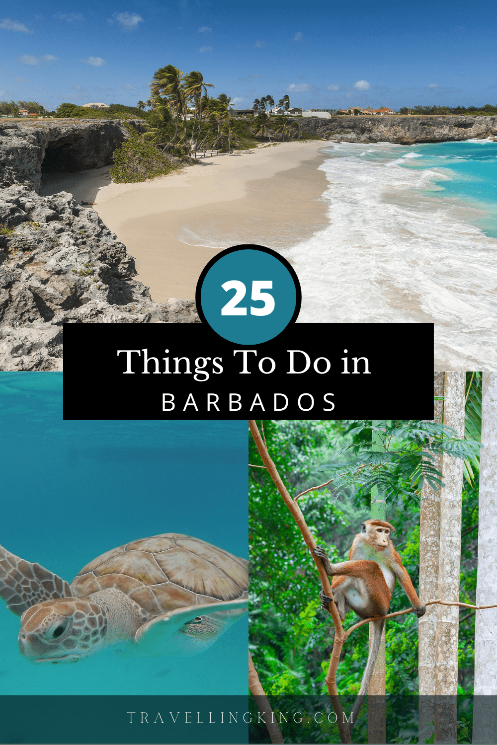 25 Things to do in Barbados