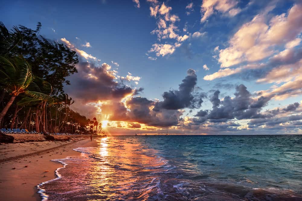 Palm trees along the beach, blue water, pastel coloured sky, during sunset