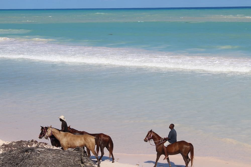 riding horses on a pink sand beach in the Bahamas