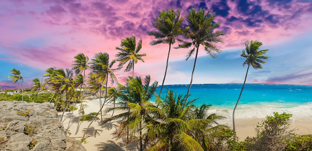 Bottom Bay is one of the most beautiful beaches on the Caribbean island of Barbados. It is a tropical paradise with palms hanging over turquoise sea. Wide panoramic sunset photo