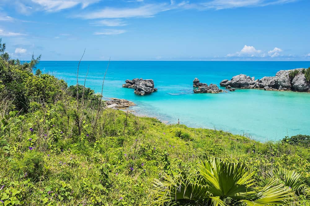 Green foliage and morning glories surround this tranquil seascape of Tobacco Bay in Bermuda.