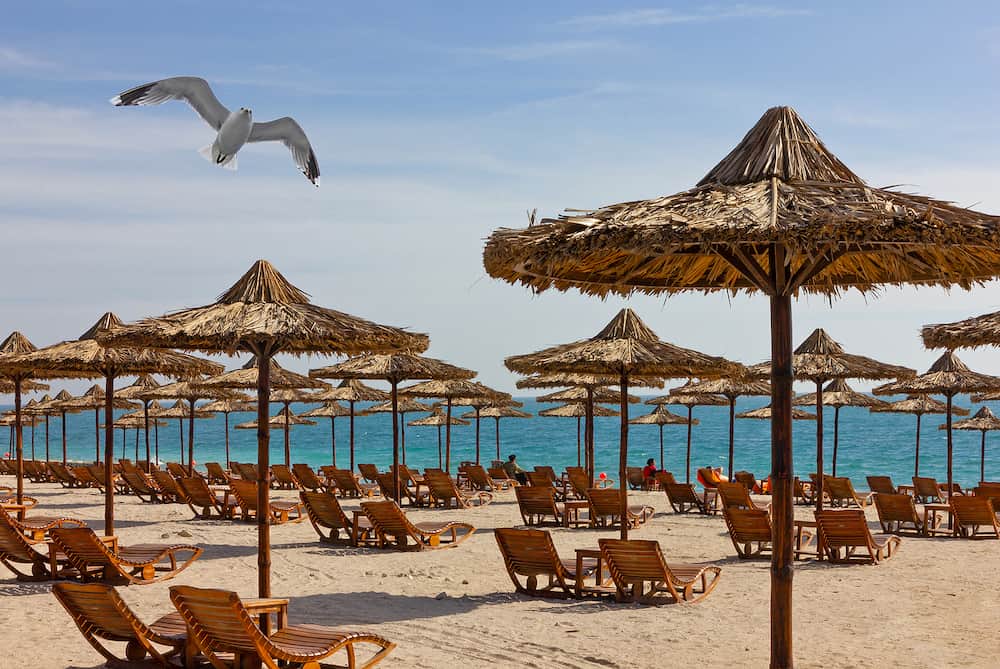 Abu Dhabi, UAE, sea beach, Sir Bani Yas island