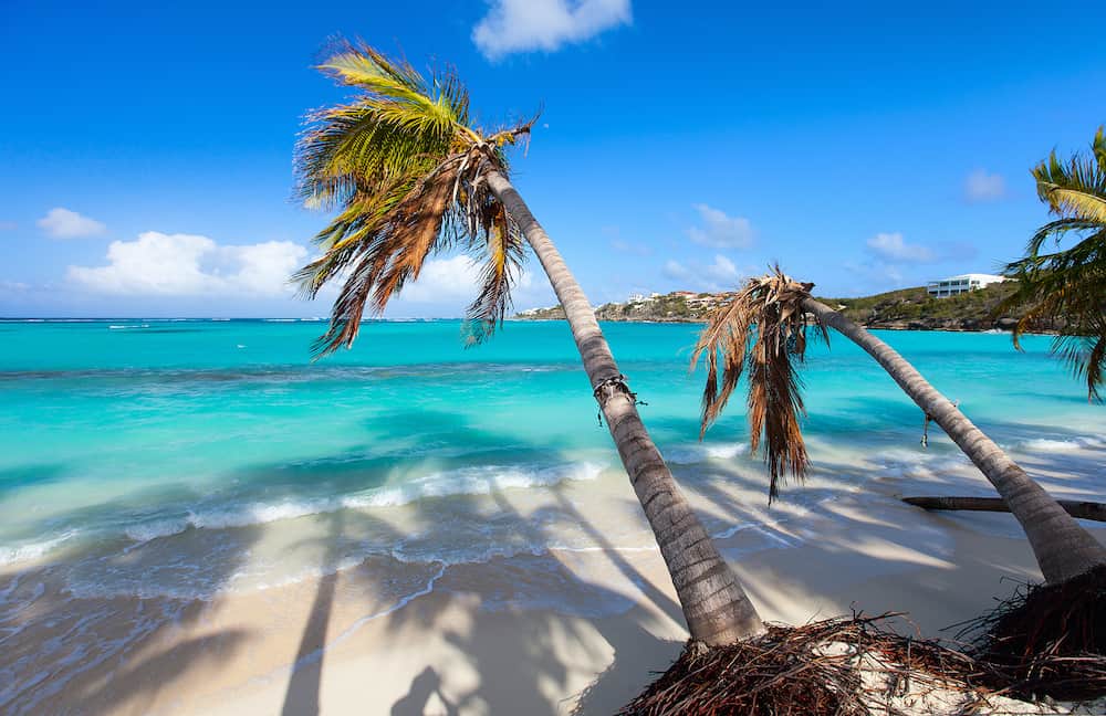 Beautiful beach framed with palms on Caribbean island of Anguilla