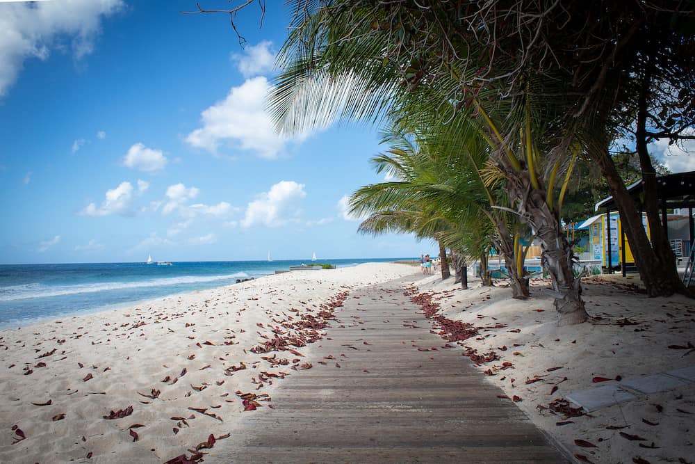 beautiful scenic barbados island boardwalk with palm trees on beach