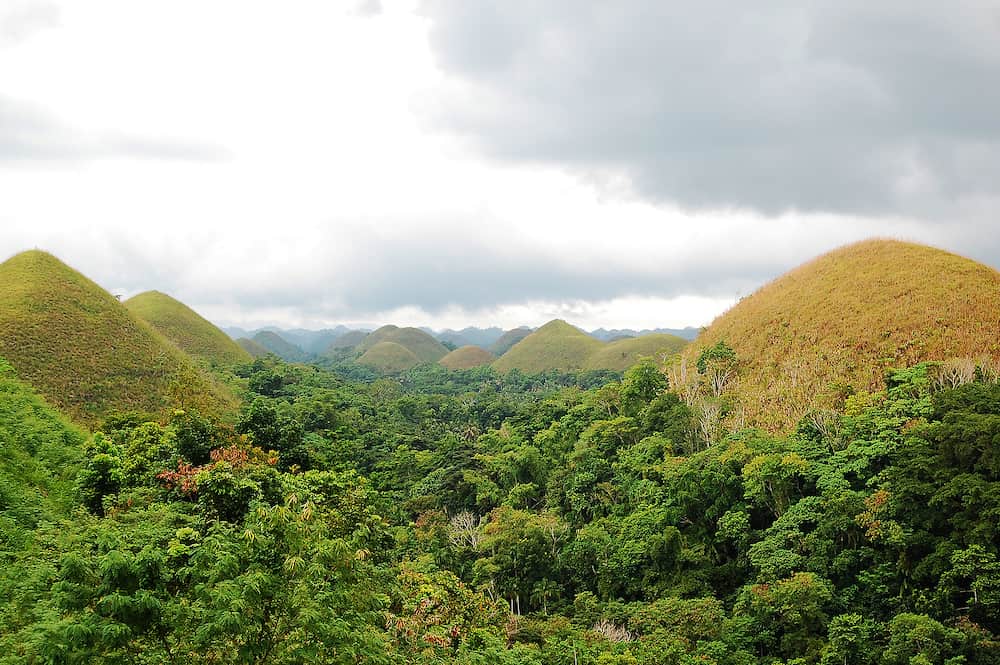 Chocolate hills landscape view with surrounding trees in Carmen, Bohol, Philippines