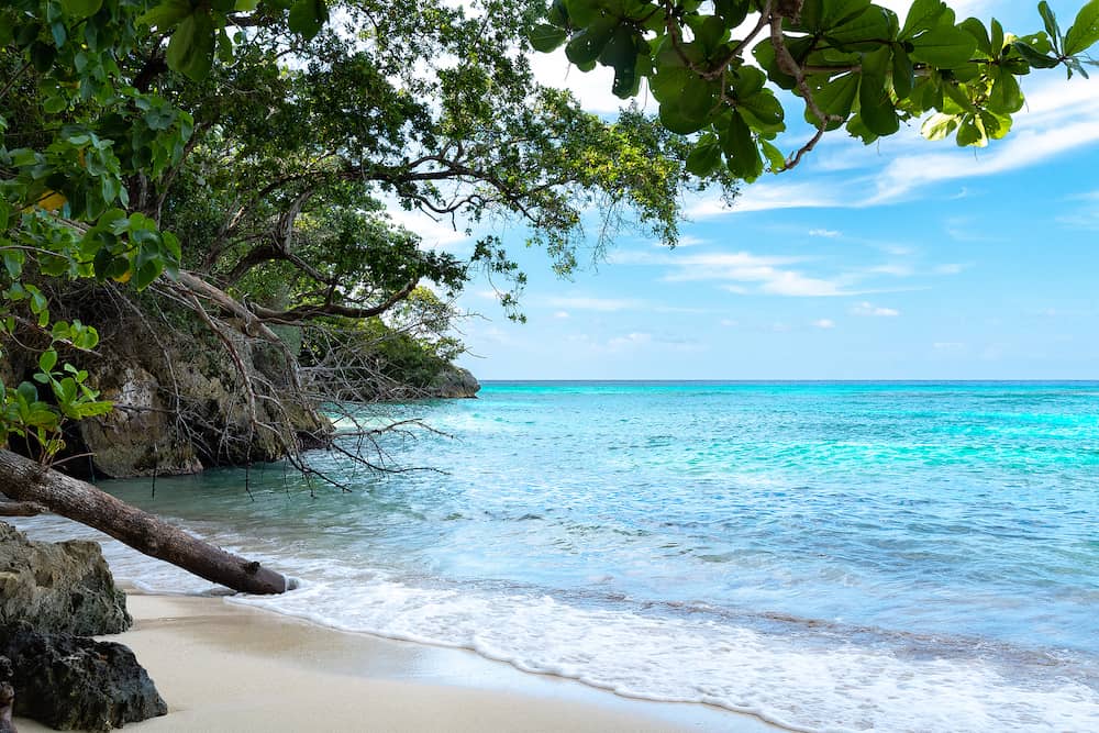 Driftwood, trees & ocean rocks by the cliffs of this beautiful turquoise blue white sand tropical Caribbean island beach cove. Scenic summer day on a sunny holiday weekend setting. Relax in paradise.
