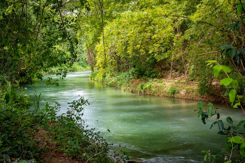 Martha Brae River in Falmouth, Trelawny parish, Jamaica. Beautiful lush green natural canopy foliage landscape. Romantic nature setting, famous for rafting. Popular tourist attraction/ excursion.