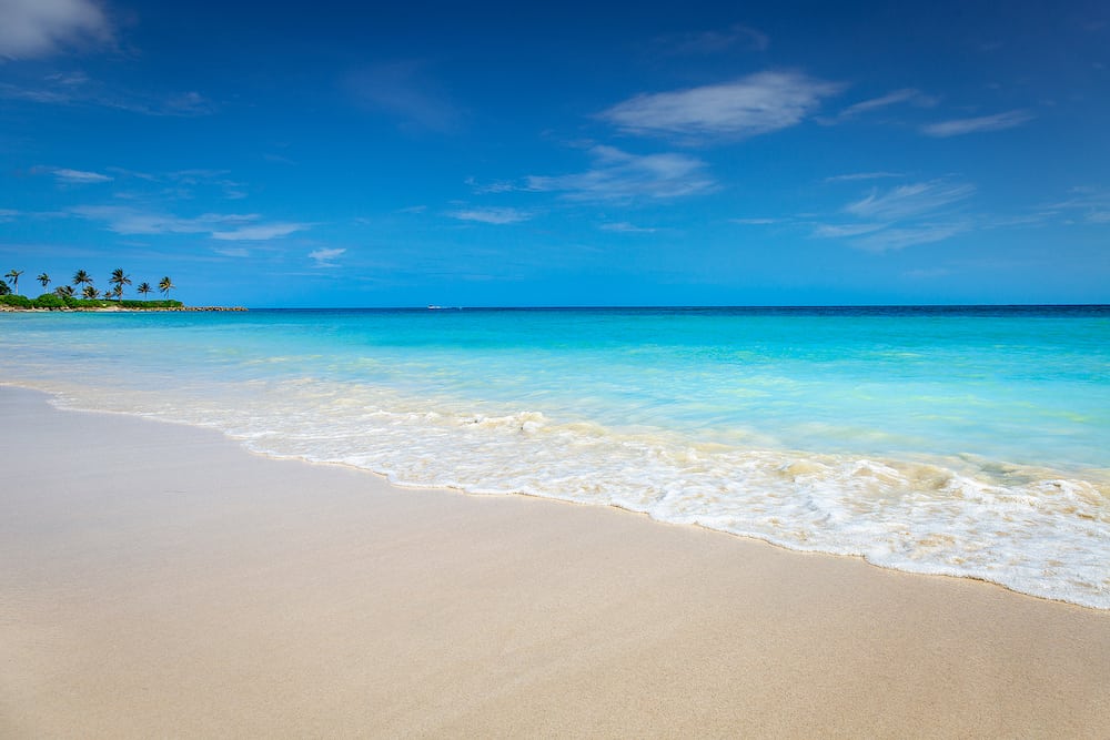 Tropical paradise: idyllic caribbean beach with single palm tree, Montego Bay, Jamaica