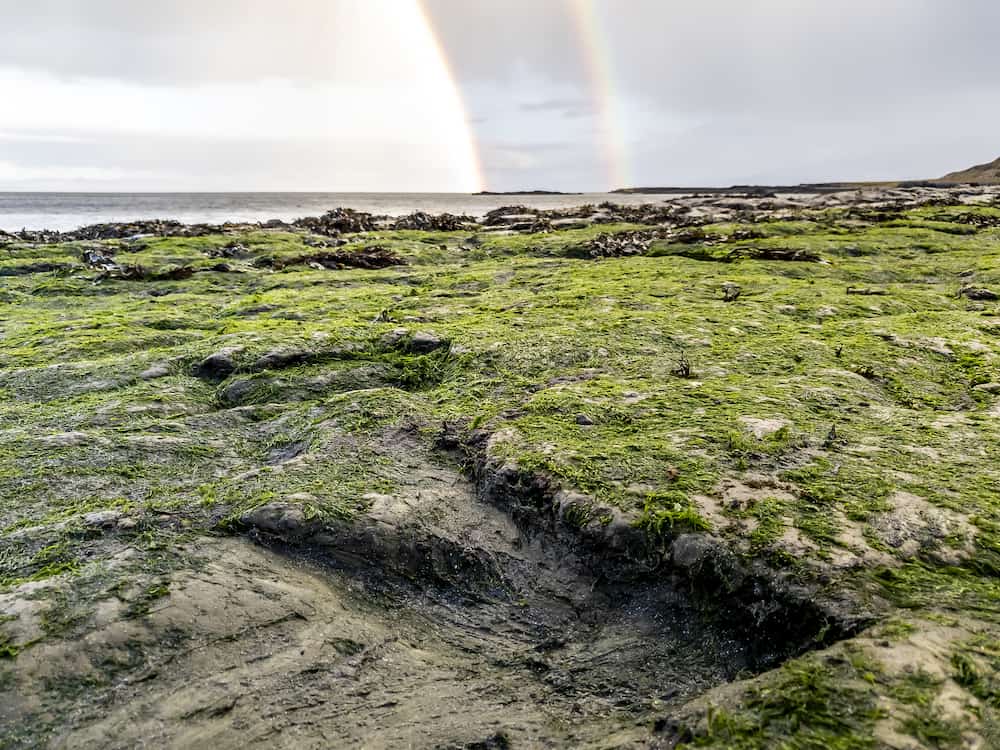 Rainbow above the famous Dinosaur footprints at An Corran beach by Staffin on the isle of Skye