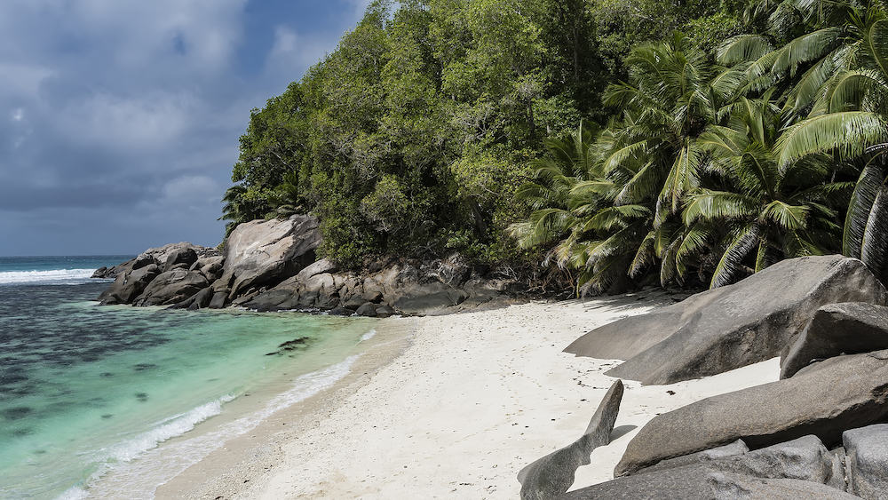A secluded beach on a tropical island. Boulders on the sand. Thickets of palms and tropical trees on the hillside. Turquoise ocean and clouds in a blue sky. Seychelles. Moyenne Island