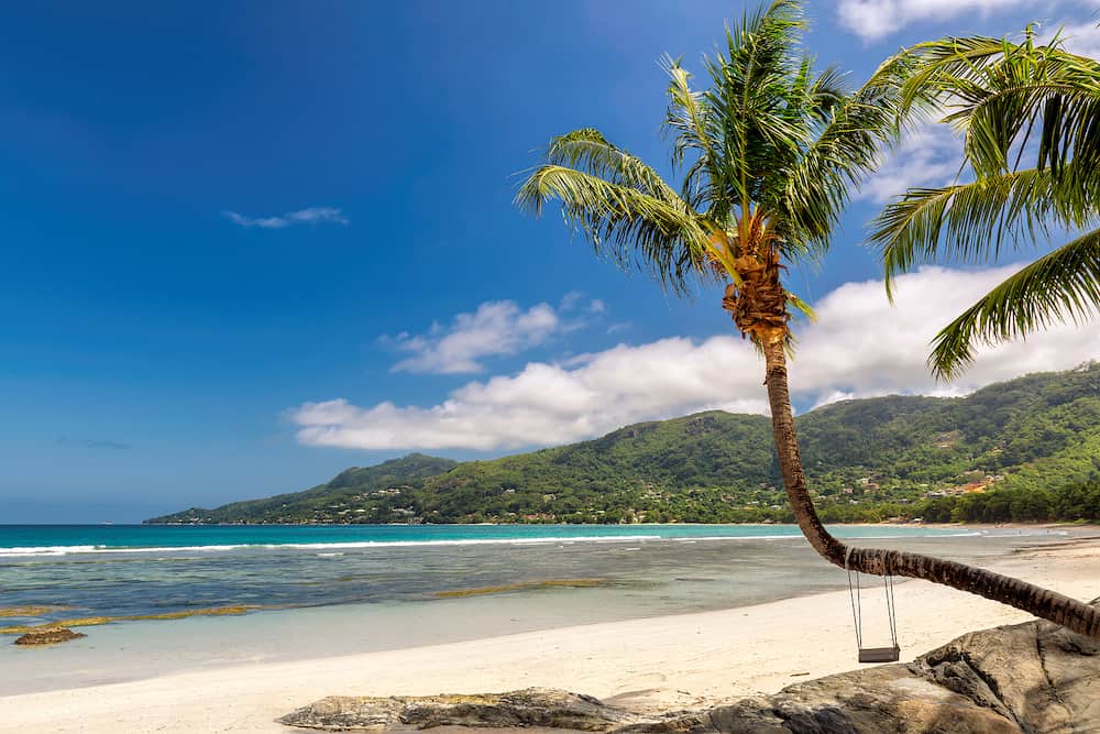 Beautiful Beau Vallon beach with coco palm and turquoise sea on tropical island in Mahe, Seychelles.
