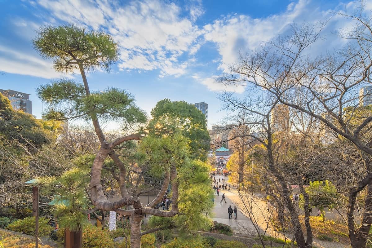 ueno, japan - Japanese pine band with burlap binding it into a circle that evokes the moon in the Kiyomizu Kannon hall of Ueno Park, Tokyo, Japan.